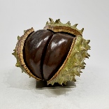 Divide and Conker