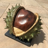 Chestnut in Shell