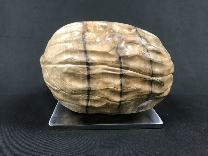 Walnut sculpture