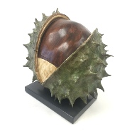 Chestnut in its shell woodcarving 