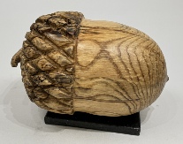 Acorn